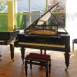 C. Bechstein M von 1927 in Zwart glimmend