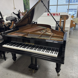 C. Bechstein A von 1920 in Zwart glimmend